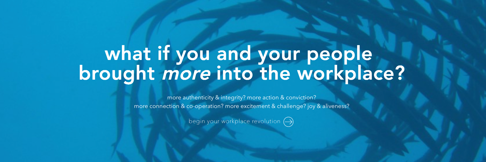 L2Inspire's profile banner image
