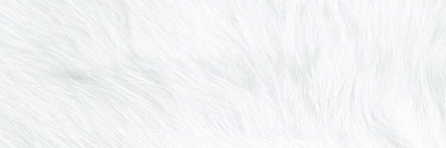 ℳ✩ banner
