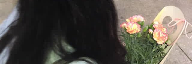 dick2913's profile banner image