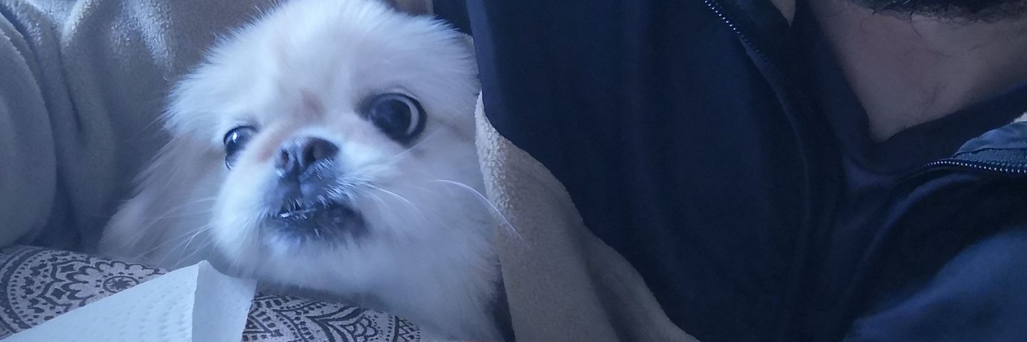 QrroGonzalez's profile banner image