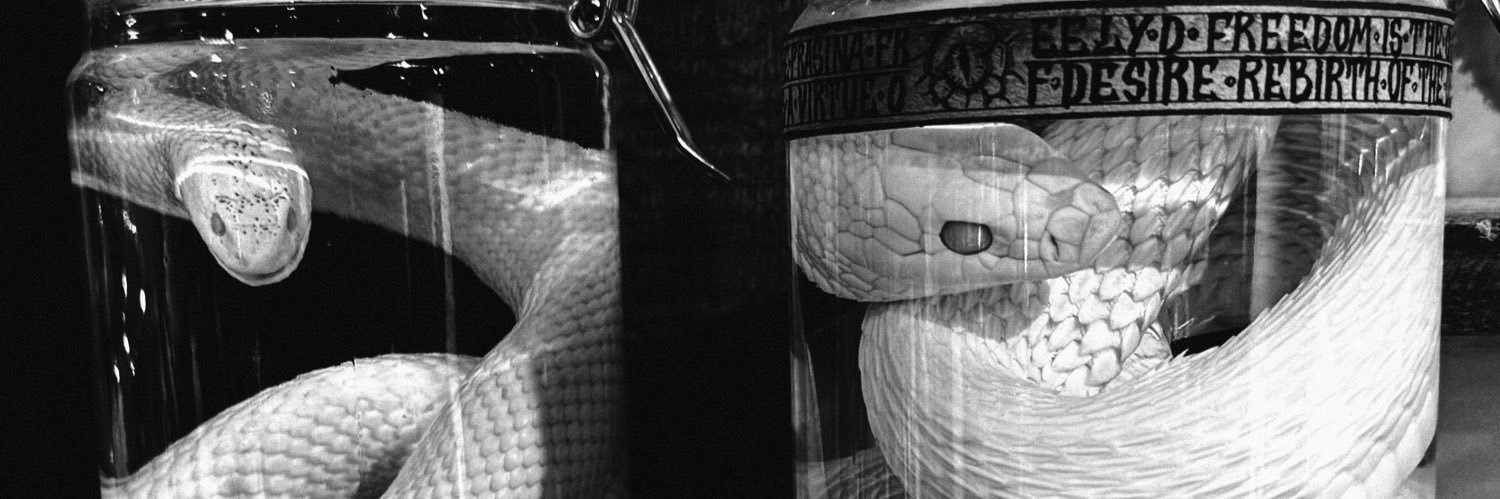 forign. banner