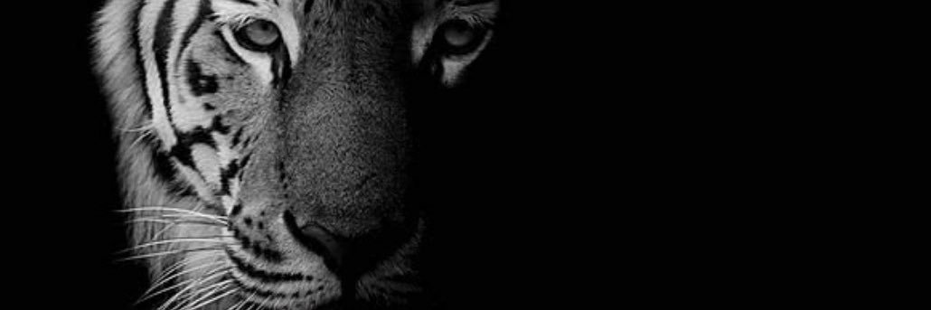 Alrwaili_J's profile banner image