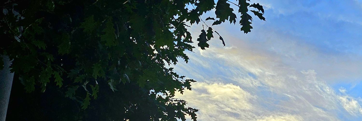 Noah_SW's profile banner image