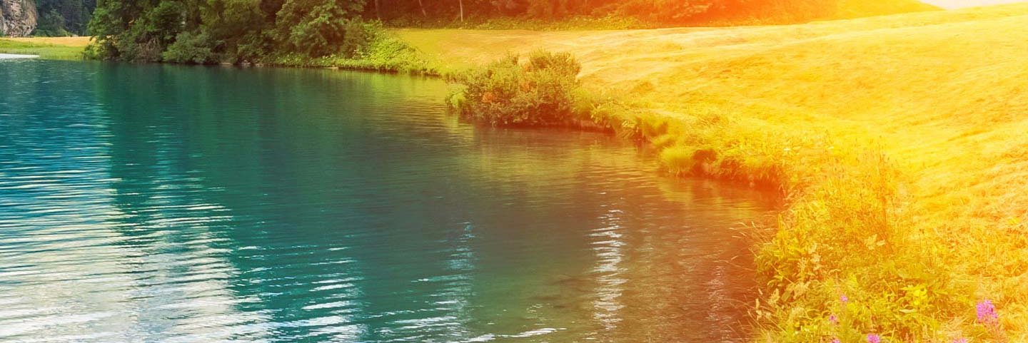 ralrev's profile banner image