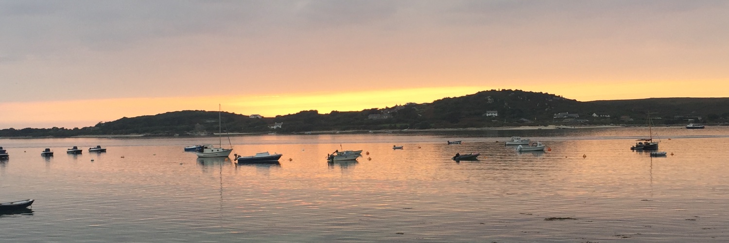 Cherry Beath 🔶Slava Ukraine🇺🇦🔸I am an European banner