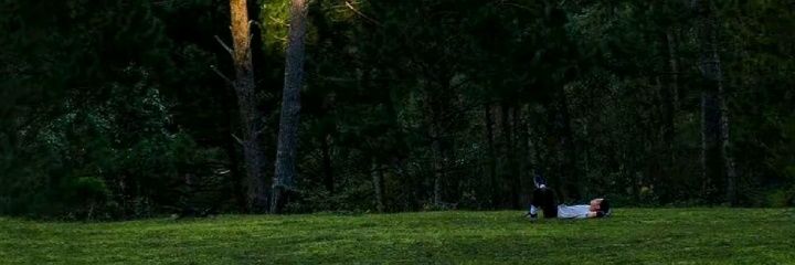 Runaway banner