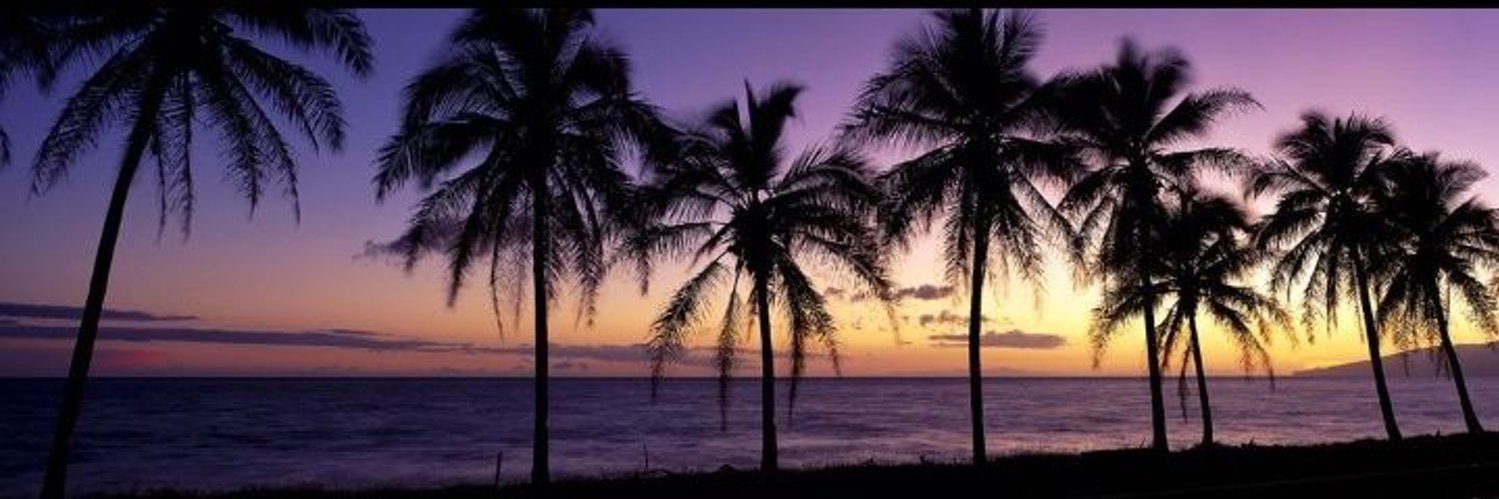 REAL RESISLINE 🛍️💕🍟 banner