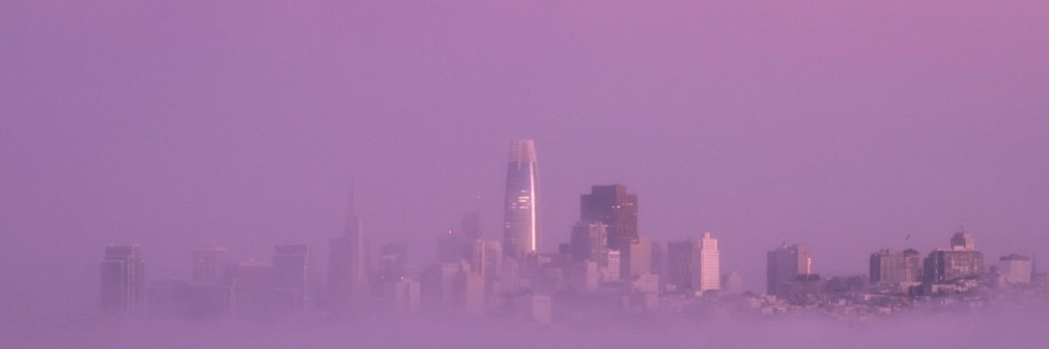 zwlibow's profile banner image