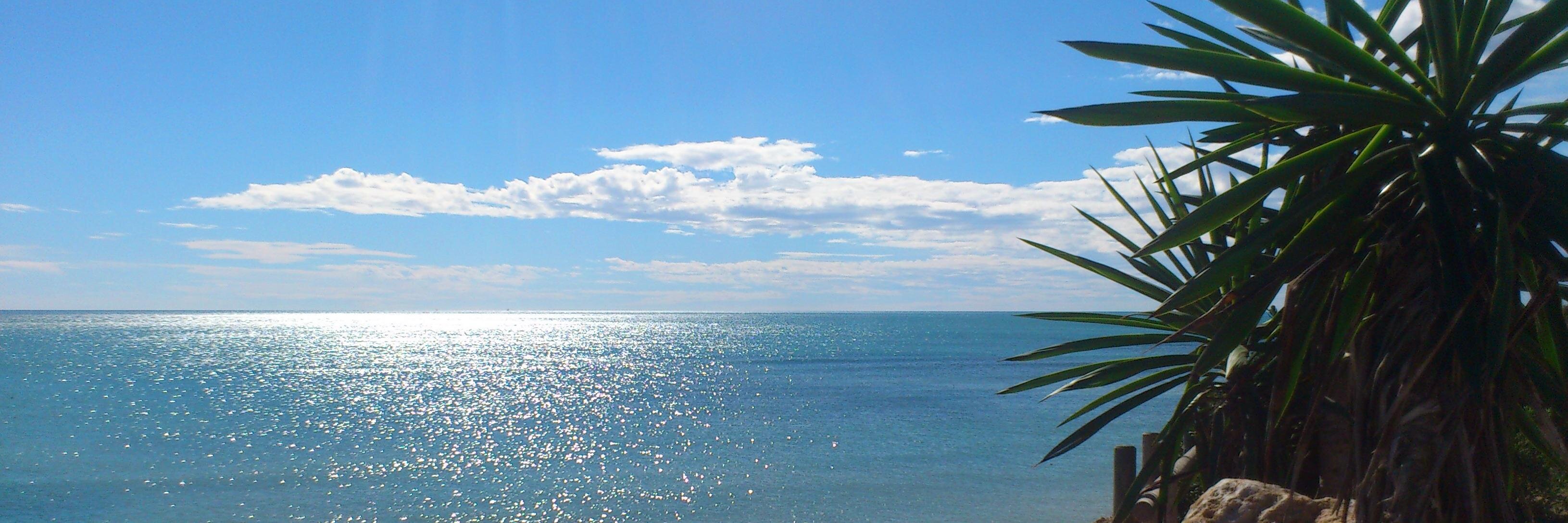 MirallesRoda's profile banner image