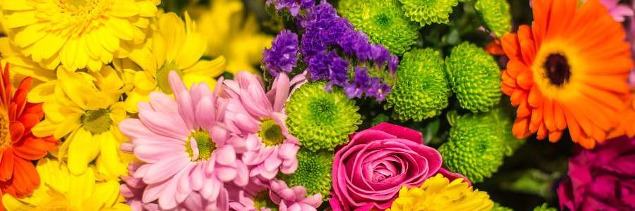 Humble Bee (Birthday May 1st) banner