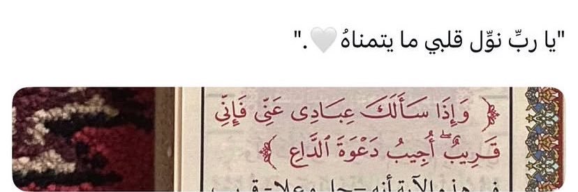 معاويه الفضلي banner