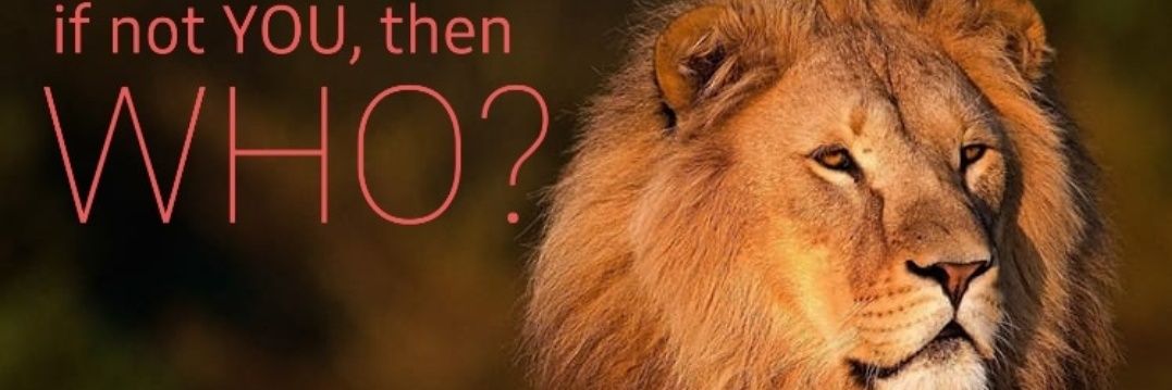 monkeymouth's profile banner image
