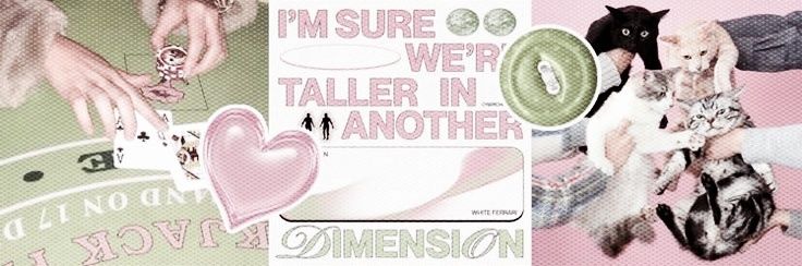 ͏ ͏͏͏͏ ͏ ͏ ͏ 𔘓 ͏ ͏ ͏ 𝗆𝗂𝗍, 𝗄𝖺𝗇𝗋ꪮ𝗃𝗂. ͏ ͏ ͏ banner