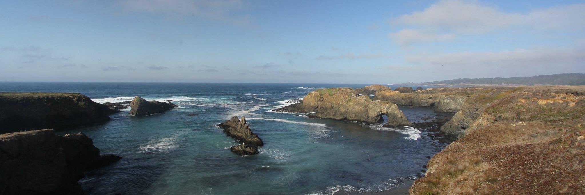 Forrest Sholars banner