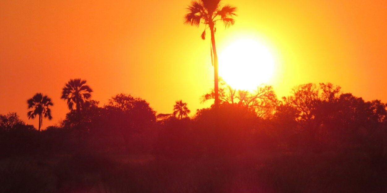 markhammick's profile banner image