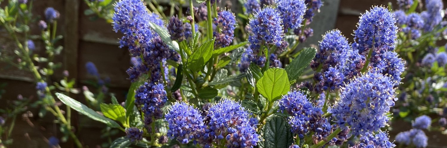 Emma ⭐️🇬🇧 banner