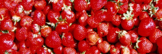 AxeIFIoof (COMMS OPEN 2/3) banner