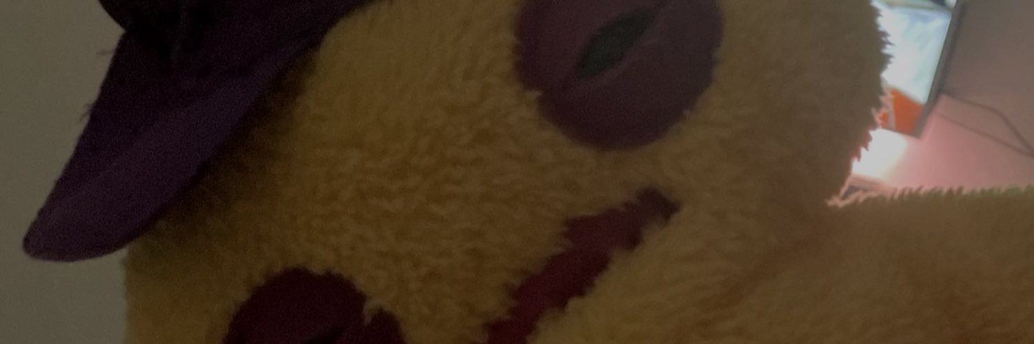casal banner