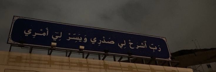 alinzimeel's profile banner image