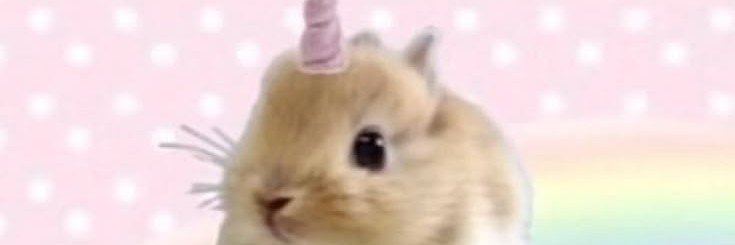 pwachysuu's profile banner image