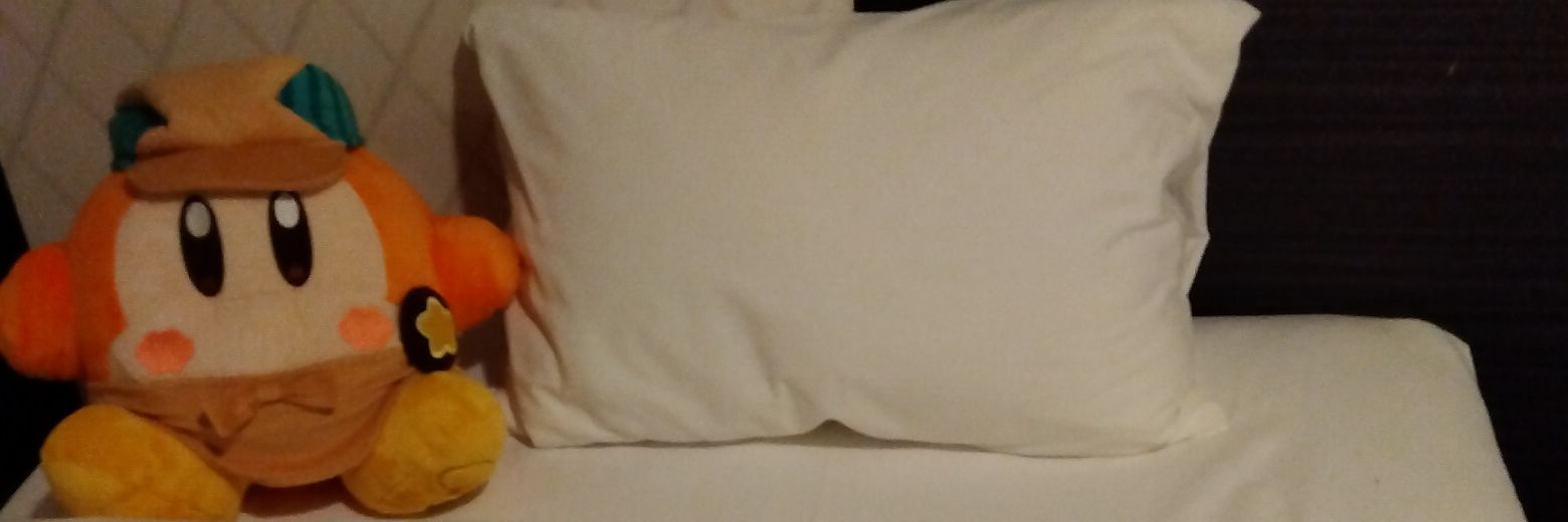 ren_wadowado's profile banner image