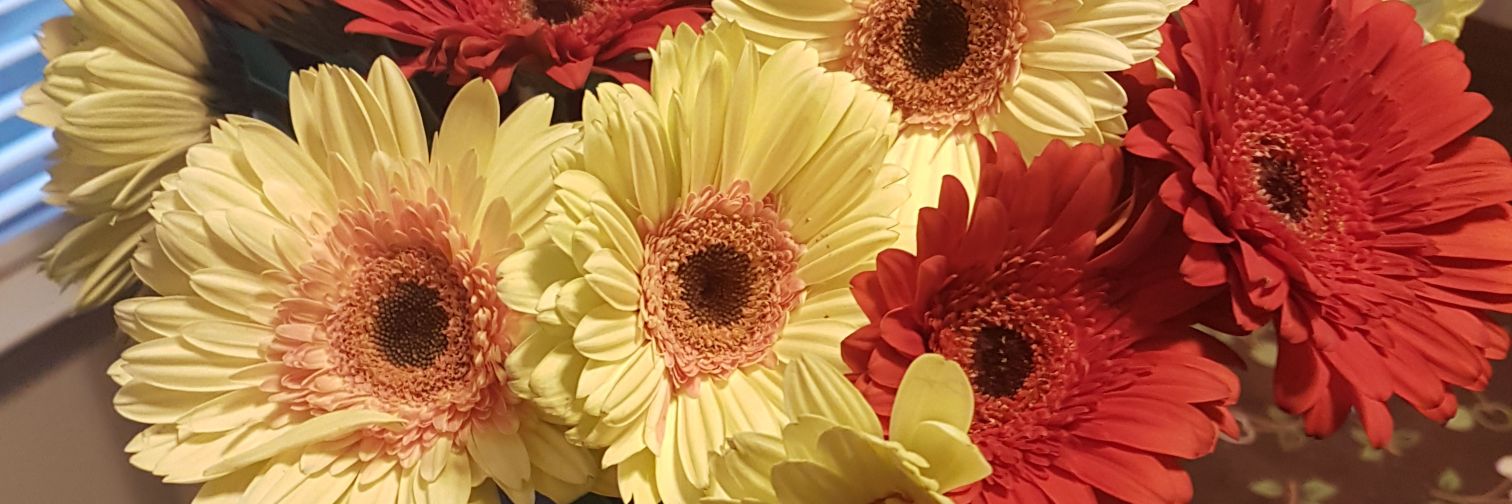 JanayDenise's profile banner image