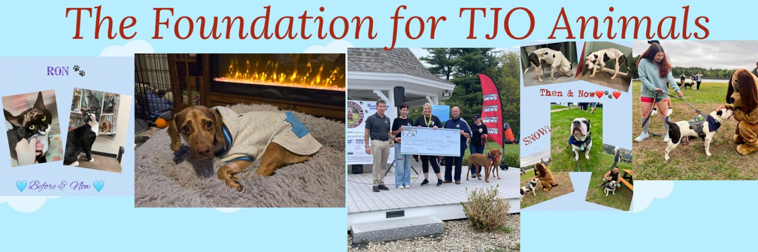 TJOFoundation's profile banner image