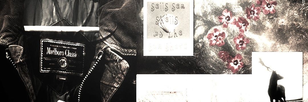 ᴾ𝓸𝐭𝐭𝐞𝐫， banner