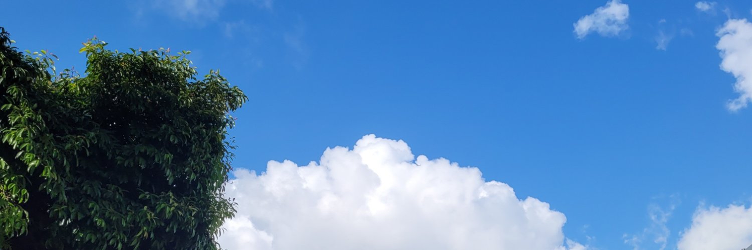 meisSamson20's profile banner image