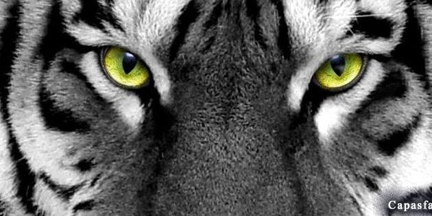 Jhon_Waster's profile banner image