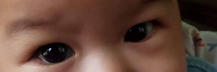 Rumput Liar | panggil aja PUTLI banner