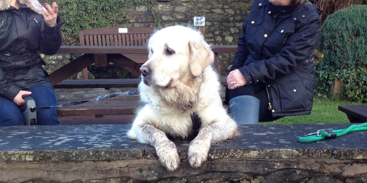 Andy Waterhouse banner