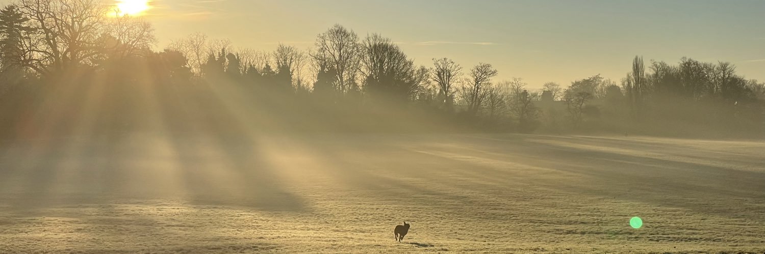 Oscar Williams banner