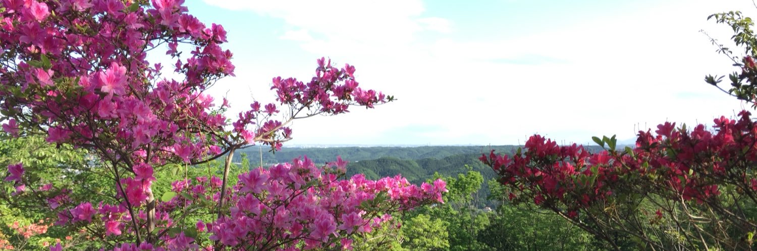 もか banner