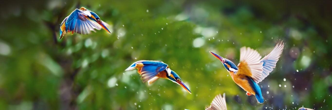 sandeepkdash's profile banner image