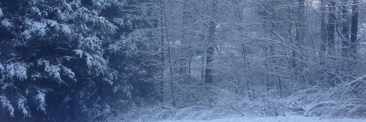 47421Kay's profile banner image