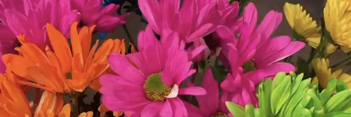 juliet418's profile banner image
