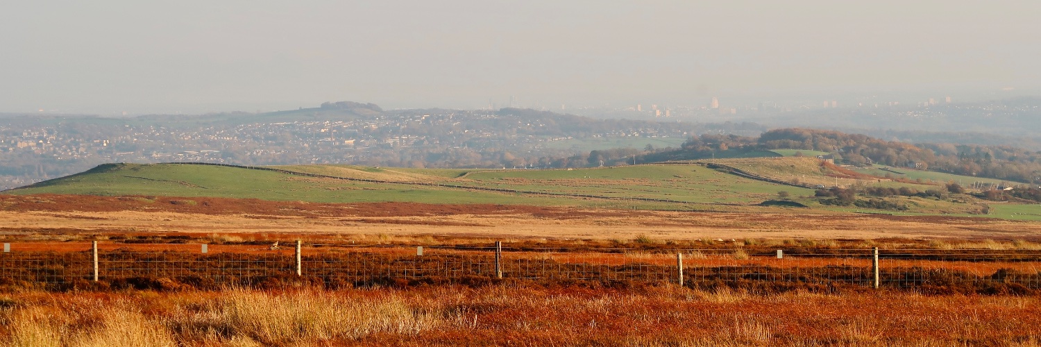 Chad Newton banner