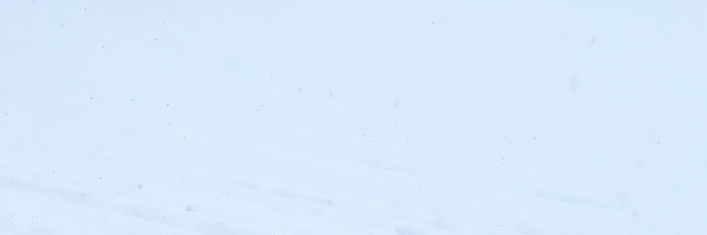 🍨 banner