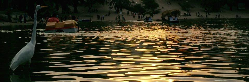 Bryam Rodriguez banner