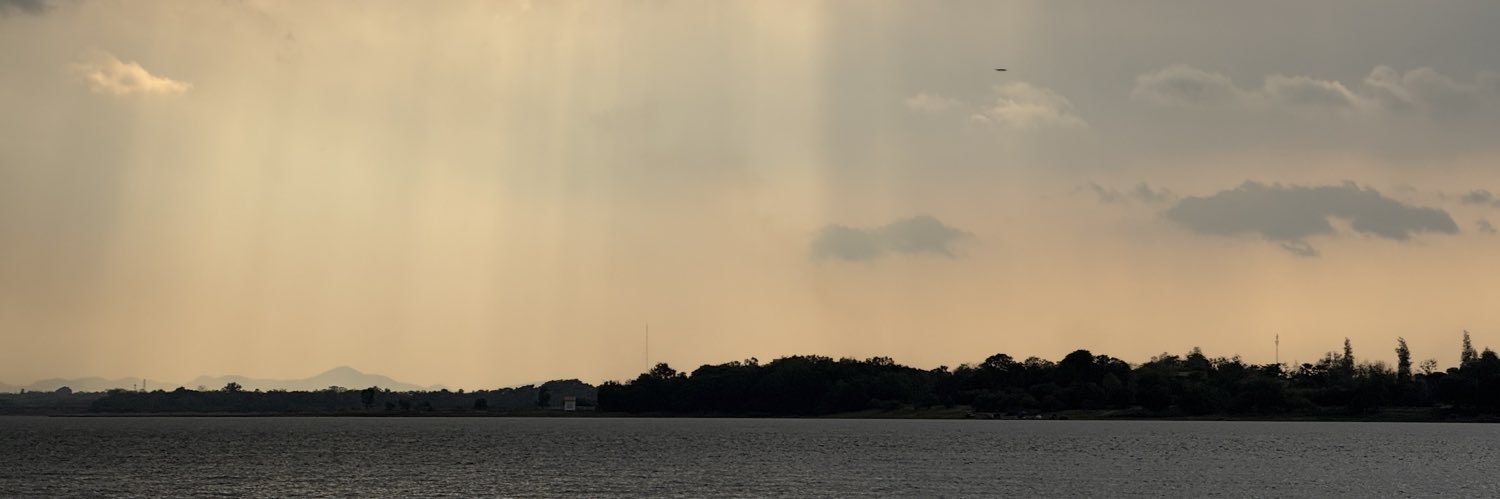 ZW banner