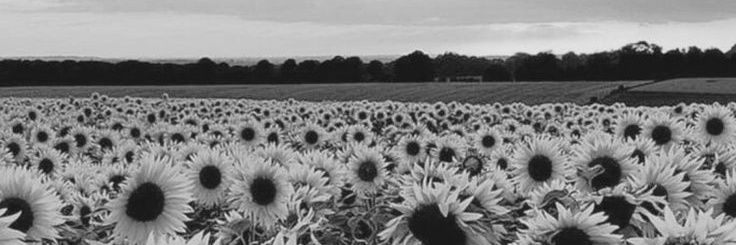 MariaLunares_'s profile banner image
