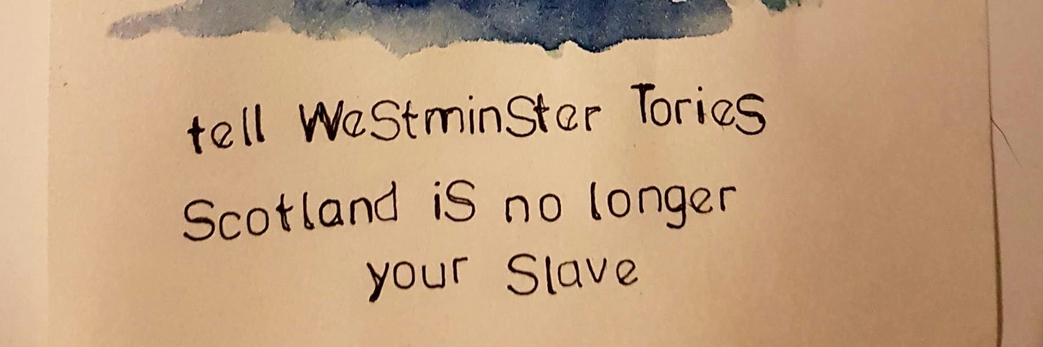 FiMo 🏴󠁧󠁢󠁳󠁣󠁴󠁿🏳️‍⚧️🏳️‍🌈 ♿️ banner