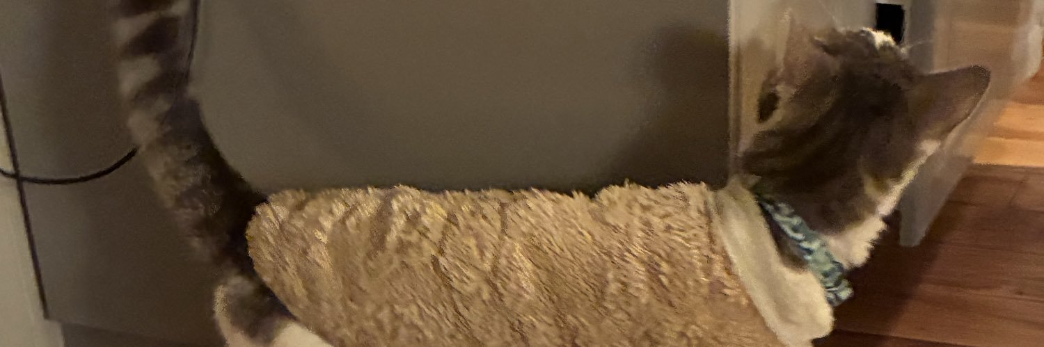 andiervzo's profile banner image