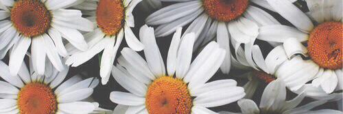Hannah_KW's profile banner image