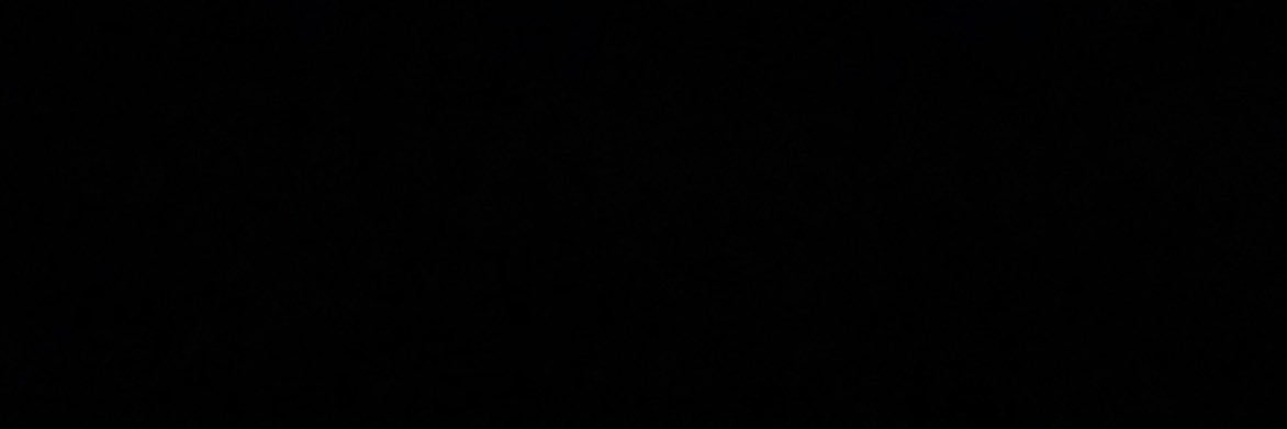 SION. banner
