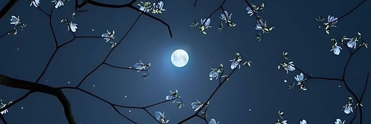 Healwaysclips banner