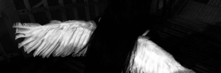 🤍 banner