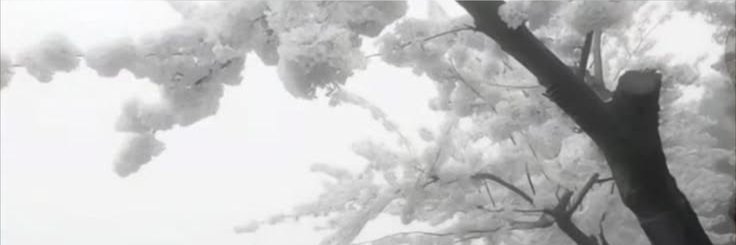 goodtapes's profile banner image