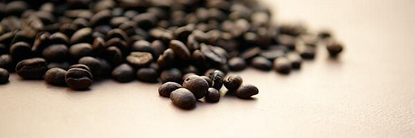 neilbird01 Profile Banner